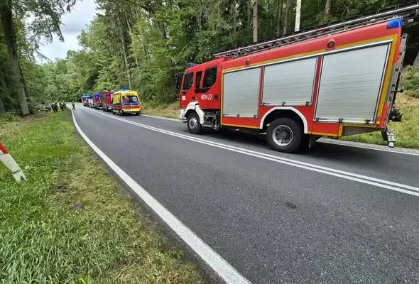 Zdarzenia drogowe na drogach powiatu: drzewo na trasie Runowo-Winniki i kolizja na DK20