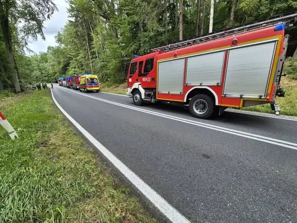 Zdarzenia drogowe na drogach powiatu: drzewo na trasie Runowo-Winniki i kolizja na DK20