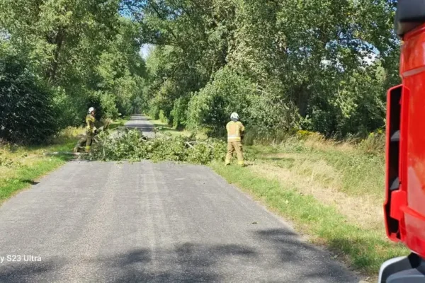 Drzewo na drodze w Rogowie – interwencja OSP Radowo Małe