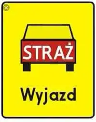 Złamany konar nad drogą w Wołkowie — interweniowała OSP Radowo Małe