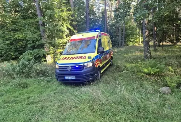 Interwencje OSP Węgorzyno: drzewo, pożar traw i poszukiwania zaginionej osoby