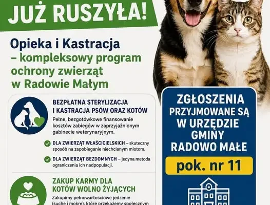 Gmina Radowo Małe finansuje sterylizację i kastrację zwierząt – trwa nabór zgłoszeń