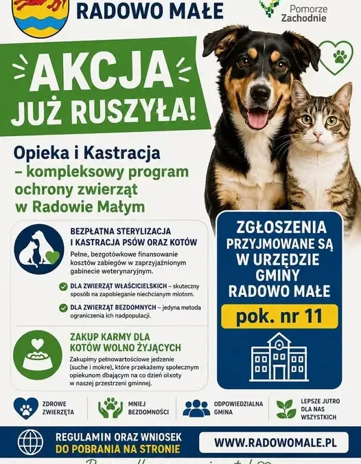 Gmina Radowo Małe finansuje sterylizację i kastrację zwierząt – trwa nabór zgłoszeń