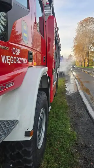 Interwencje OSP Węgorzyno: drzewa na drogach i pożar pojazdu
