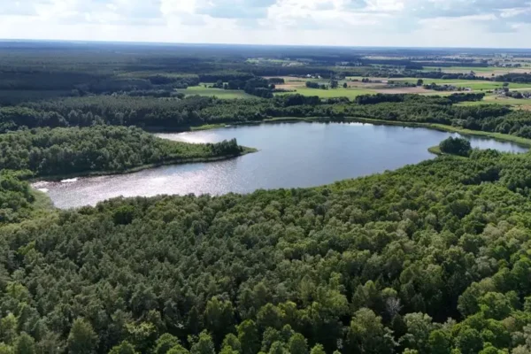 Nadleśnictwo Resko zaprasza nad Jezioro Rejowickie — nowe miejsce postoju dla turystów