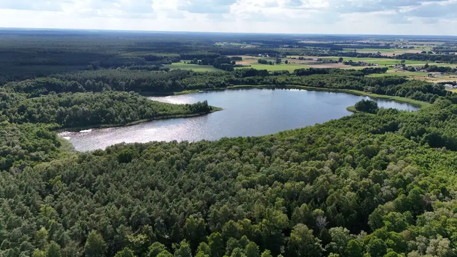 Nadleśnictwo Resko zaprasza nad Jezioro Rejowickie — nowe miejsce postoju dla turystów